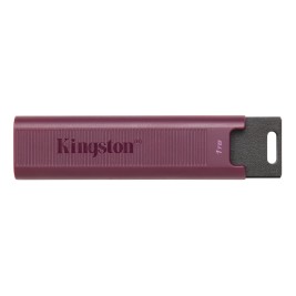 USB стик Kingston DTMAXA/1TB