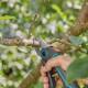 Battery pruning shears Gardena Assistcut 12222-20 Bypass 25 mm NaN –  BB Ножици за подрязване