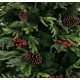 Коледно дърво Home ESPRIT Червен Зелен PVC 129 X 129 X 240 CM NaN –  BB Коледни елхи