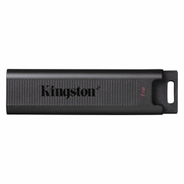 USB стик   Kingston DTMAX/1TB         Черен 1 TB (1 броя)