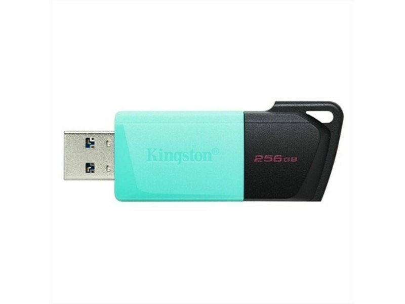 USB стик Kingston Exodia M Черен 256 GB (1 броя) NaN –