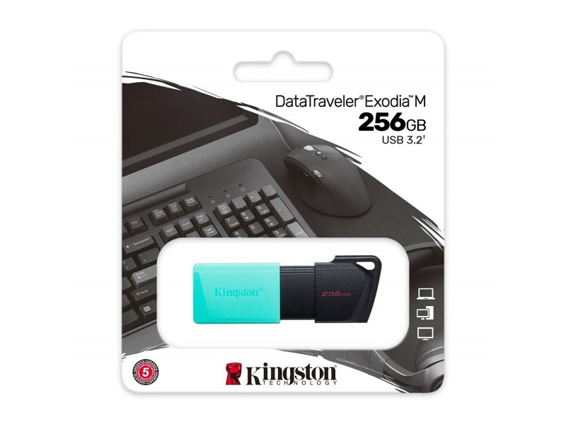 USB стик Kingston Exodia M Черен 256 GB (1 броя) NaN –