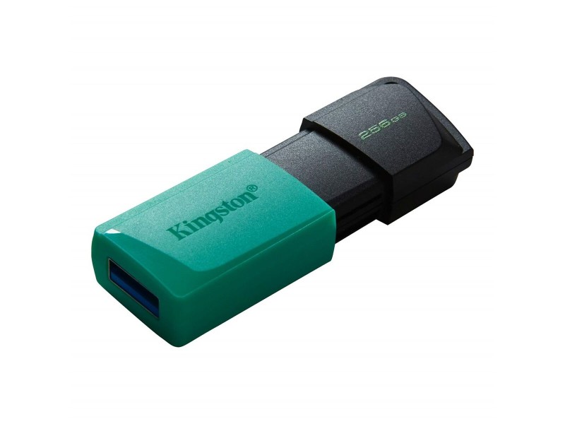 USB стик Kingston Exodia M Черен 256 GB (1 броя) NaN –