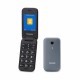 Мобилен телефон Panasonic KXTU400EXG Сив NaN –