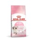ROYAL CANIN Kitten FHN - dry cat food - 400g