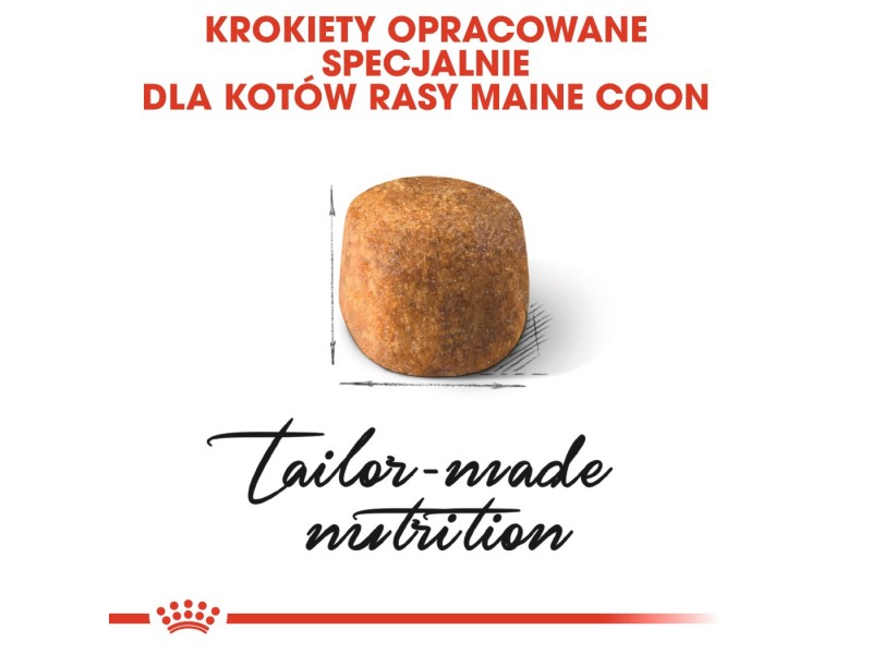 ROYAL CANIN FBN Maine Coon Adult dry cat food - 10kg