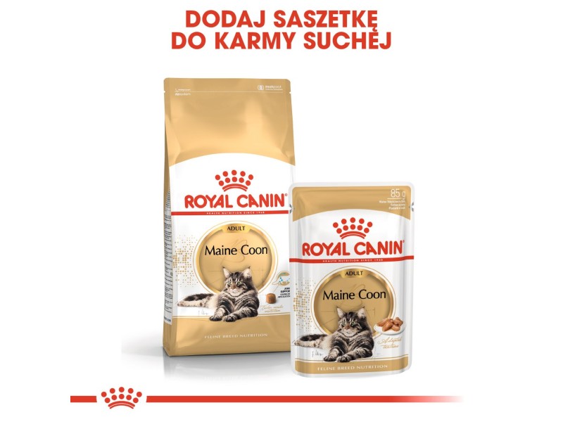 ROYAL CANIN FBN Maine Coon Adult dry cat food - 10kg