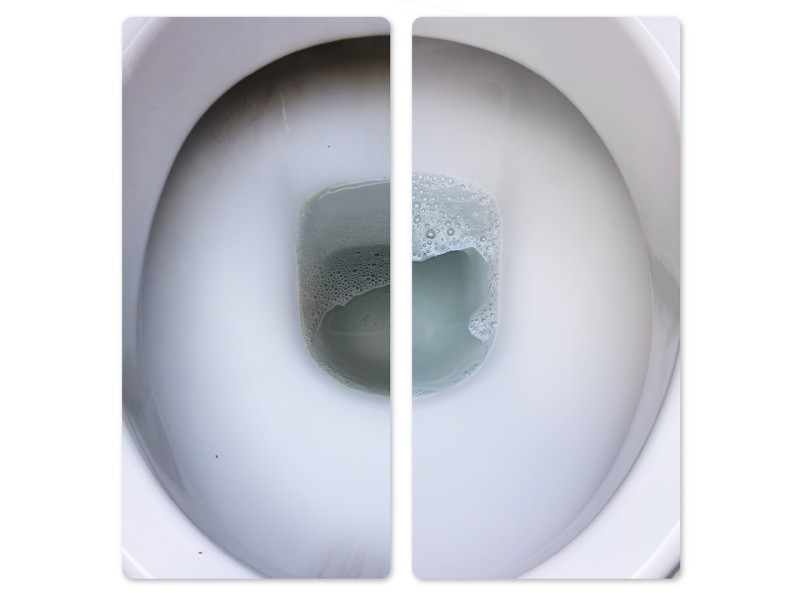 Frischer toilet cleaner 1l