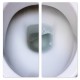 Frischer toilet cleaner 1l