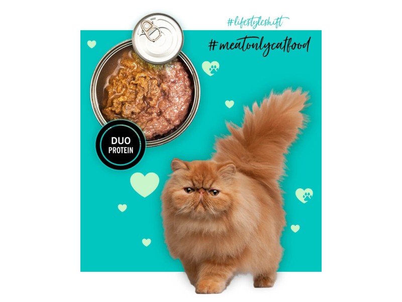 3COTY Chicken with duck - wet cat food - 80g