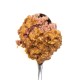 3COTY Chicken with duck - wet cat food - 80g