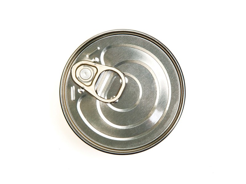 3COTY Turkey with goose - wet cat food - 80g