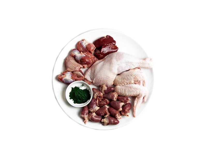 3COTY Chicken with spirulina For kittens and nursing cats - wet cat food - 80g