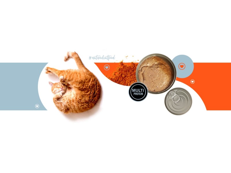 3COTY Turkey with chicken and krill Senior - wet cat food - 80g