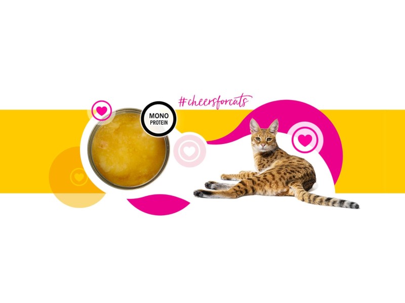 3COTY Chicken Cheers! - wet cat food - 75g