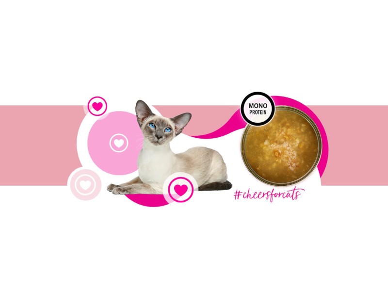 3COTY Turkey Cheers! - wet cat food - 75g