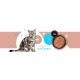 3COTY 26. Turkey and rabbit - wet cat food - 180g 3COTY 26. Turkey and rabbit - wet cat food - 180g