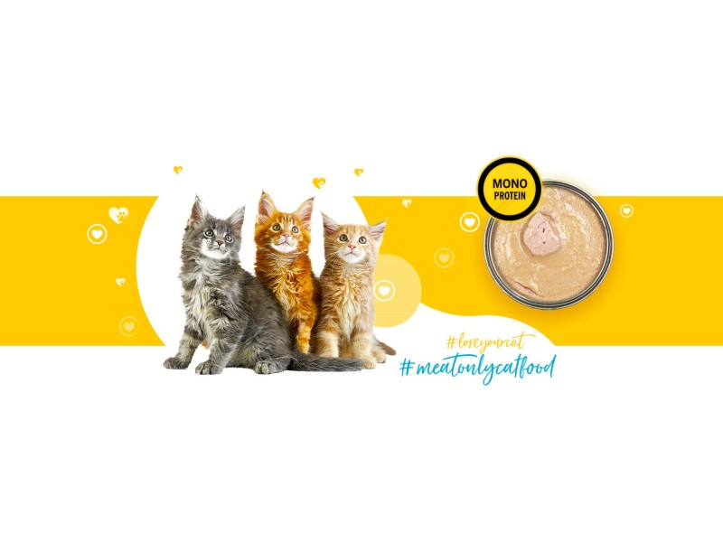 3COTY 33. Chicken Kitten - wet cat food - 180g