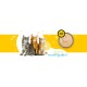 3COTY 33. Chicken Kitten - wet cat food - 180g