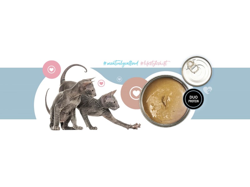 3COTY 41. Turkey and chicken for kittens - wet cat food - 180g