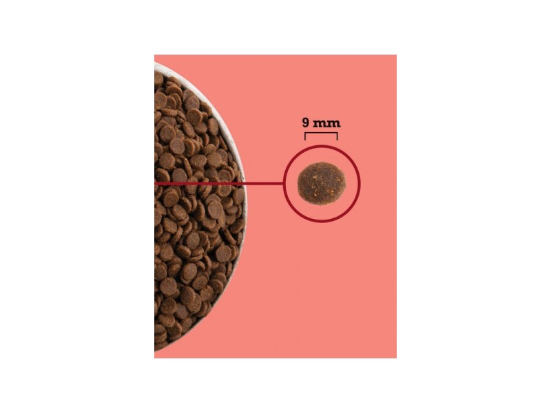 ACANA Highest Protein Indoor Cat - dry cat food - 1,8kg