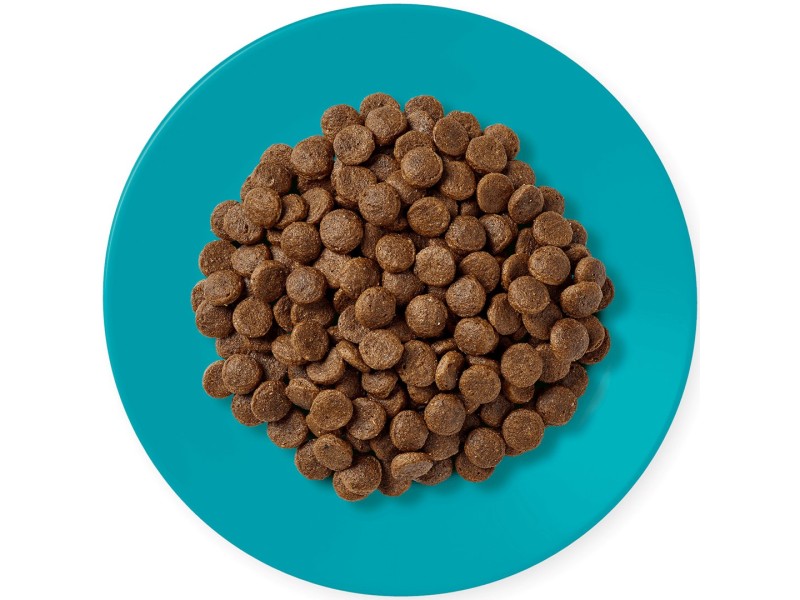 APPLAWS Adult Ocean fish with salmon - dry cat food - 1,8kg