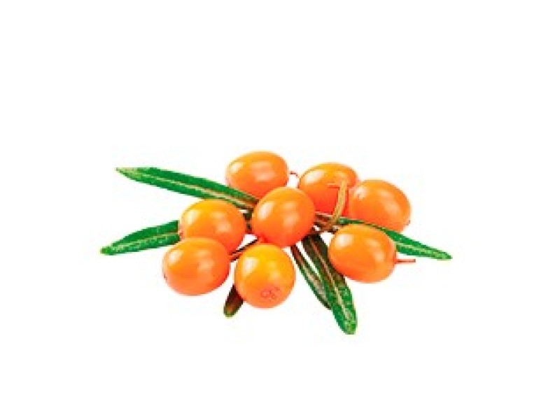 SHELMA Rich in turkey in sauce - wet cat food - 85g