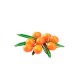 SHELMA Rich in turkey in sauce - wet cat food - 85g