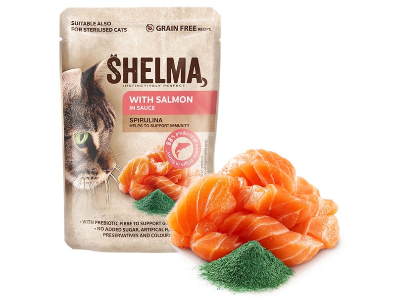 SHELMA with salmon in sauce - wet cat food - 85g
