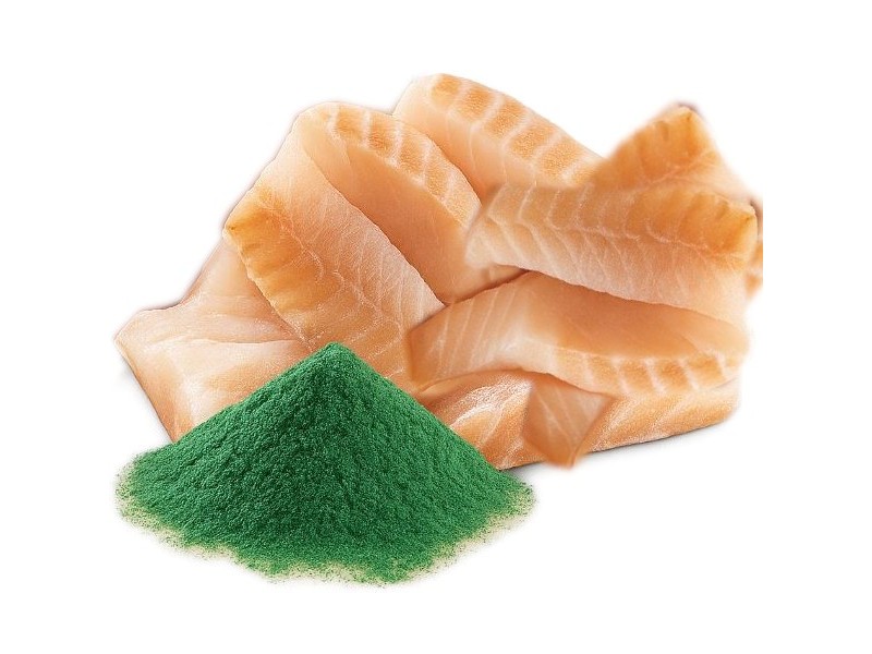 SHELMA with cod in sauce - wet cat food - 85g