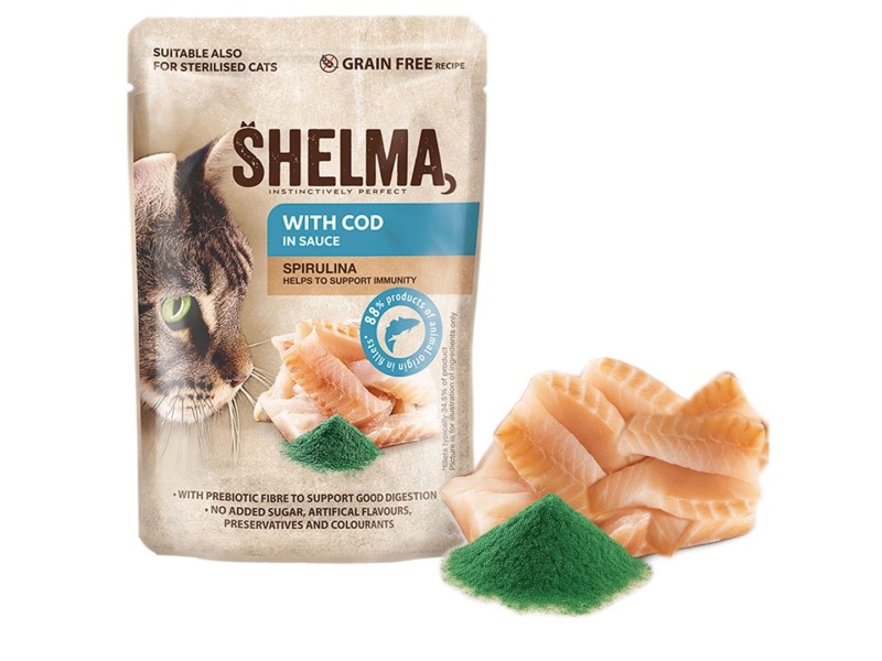 SHELMA with cod in sauce - wet cat food - 85g