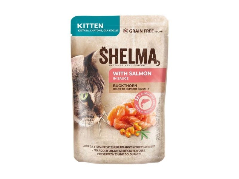 SHELMA Kitten with salmon in sauce - wet cat food - 85g