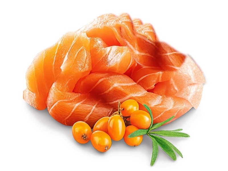SHELMA Kitten with salmon in sauce - wet cat food - 85g