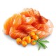 SHELMA Kitten with salmon in sauce - wet cat food - 85g