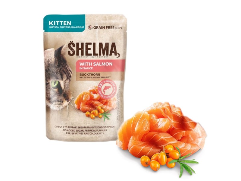 SHELMA Kitten with salmon in sauce - wet cat food - 85g