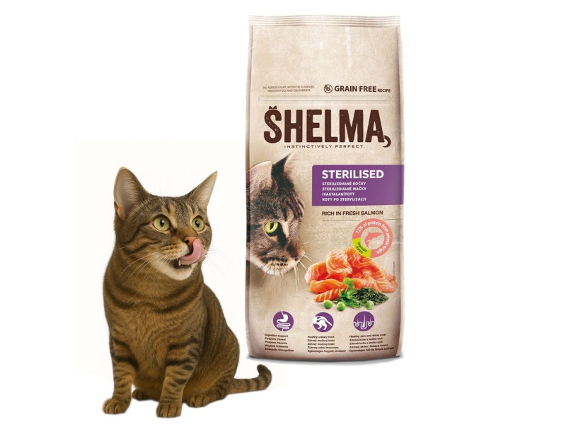 SHELMA Sterilised Salmon - dry cat food - 8kg