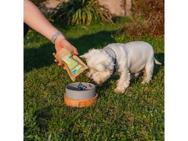 ANIMAL ISLAND Adult Medium Salmon - dry dog food - 12kg