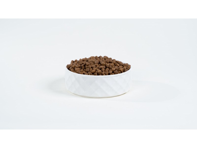 BULT Salmon with trout - dry dog food - 12kg