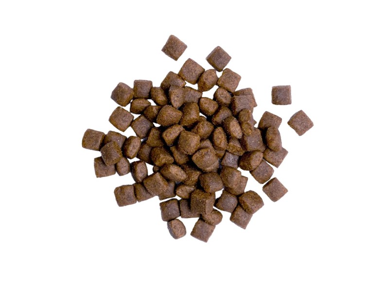 BULT Salmon with trout - dry dog food - 3kg