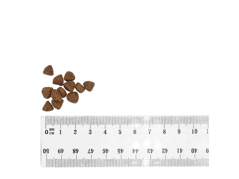 BULT Duck and Turkey Puppy - dry dog food - 12kg