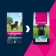 EUKANUBA Adult L XL Rich in chicken - dry dog food - 15kg