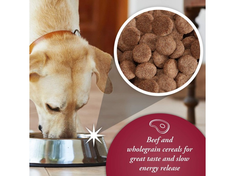 ARKWRIGHT Complete Beef - dry dog food - 15kg