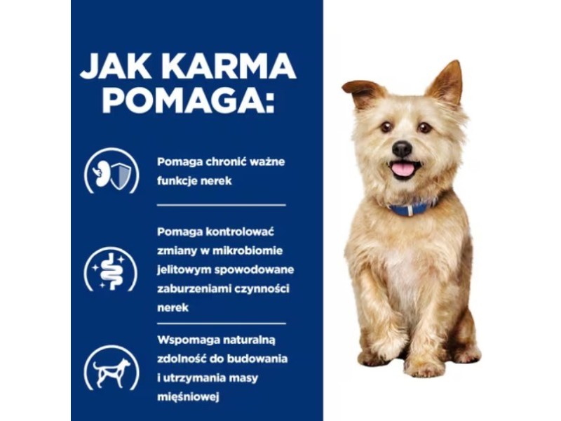 Hill's PD K/D Kidney Care Original - dry dog food - 4kg
