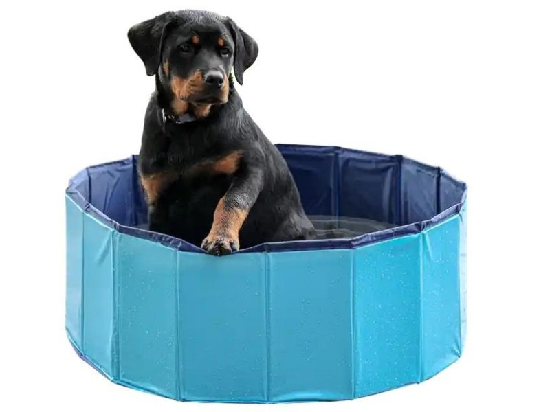 Folding dog pool - 120x30cm