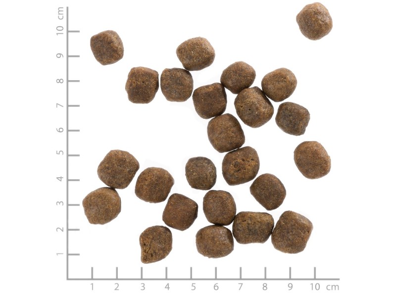 WOLFSBLUT Cold River Trout with sweet potatoes - dry dog food - 12,5kg