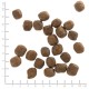 WOLFSBLUT Cold River Trout with sweet potatoes - dry dog food - 12,5kg
