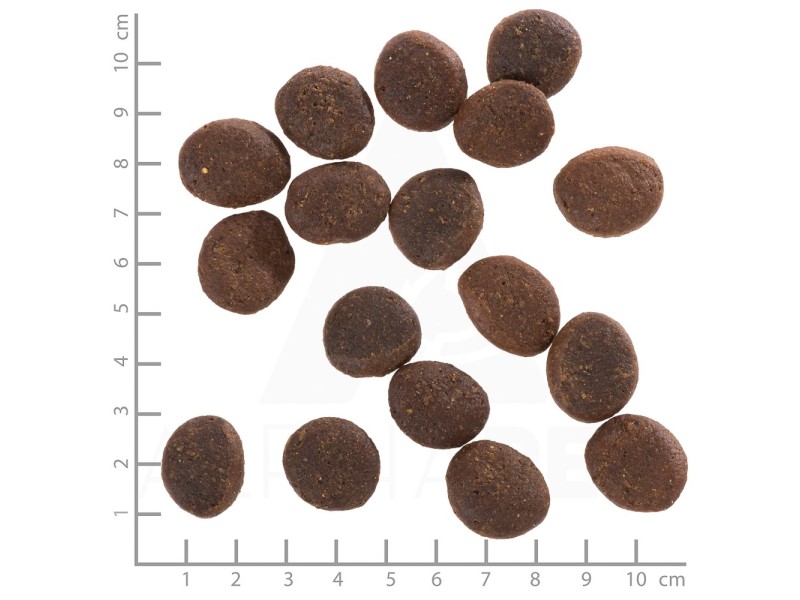 WOLFSBLUT Polar Night Reindeer with sweet potatoes - dry dog food - 12,5kg