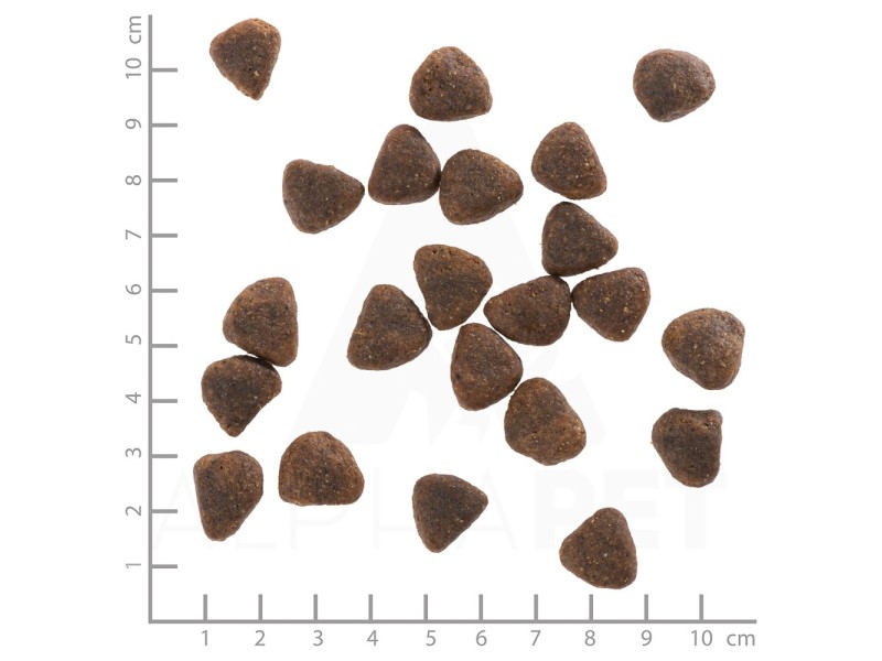 WOLFSBLUT Wide Plain Horse - dry dog food - 2kg