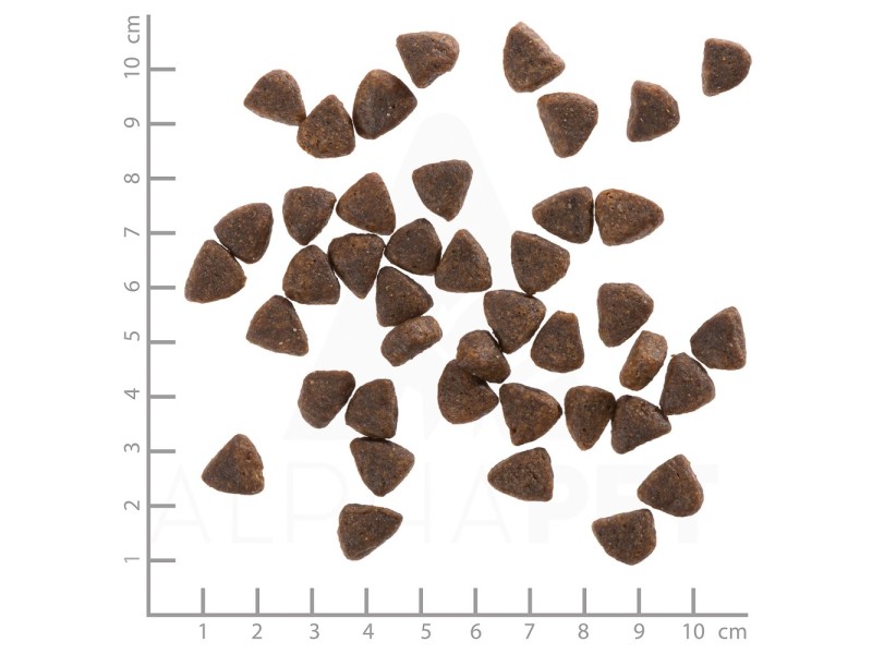 WOLFSBLUT Wide Plain Puppy Horse with sweet potatoes - dry dog food - 12,5kg