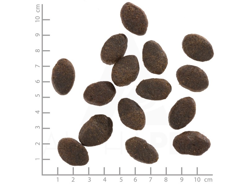 WOLFSBLUT Wild Pacific Fish with potatoes - dry dog food - 12,5kg